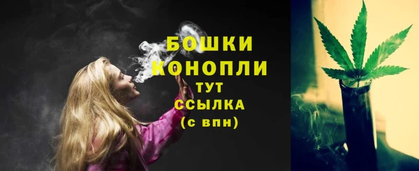 бошки Арсеньев