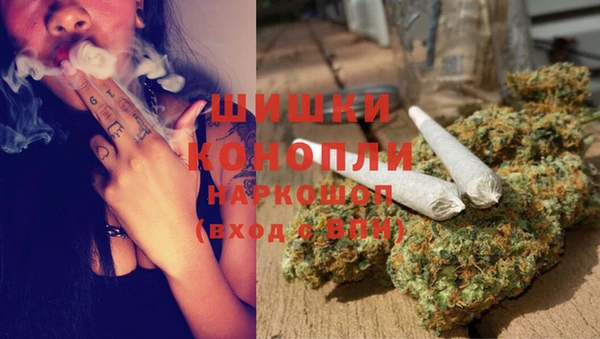 сатива Алексин