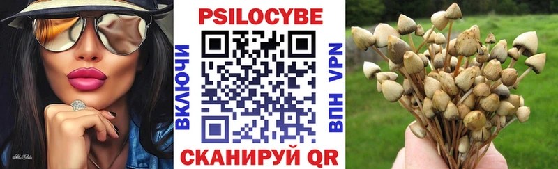 Галлюциногенные грибы Psilocybine cubensis mega вход Мытищи