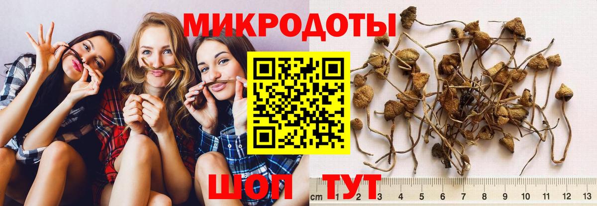 Галлюциногенные грибы Cubensis Мытищи